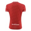 Maillot de Foot Bristol City Domicile 2024-25